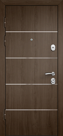 Фото «Современная дверь №8»